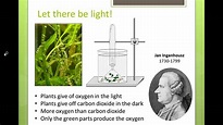 Photosynthesis History Lesson Part 2 - YouTube
