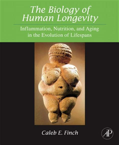 The Biology Of Human Longevity‚ Inflammation‚ Nutrition And Aging In