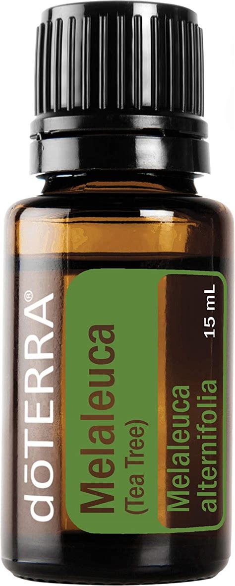 DoTERRA Melaleuca Tea Tree Essential Oil 15 ML Amazon Com Mx