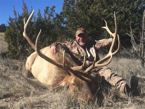 Ridgeline Outfitters Belen New Mexico Ultimate Elk Hunting