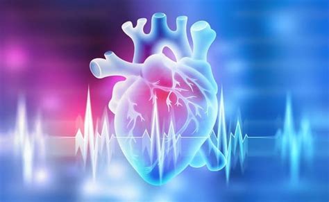 Latido Cardíaco ¿qué Es【definición Y Significado】