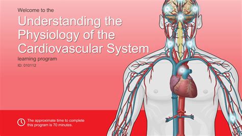 Understanding The Physiology Of The Cardiovascular System Adam Ondemand