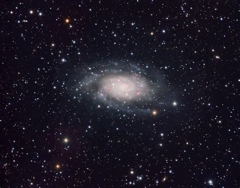 Ngc 2403