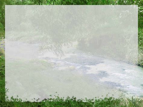 Free River Jungle Backgrounds For Powerpoint Nature Ppt Templates