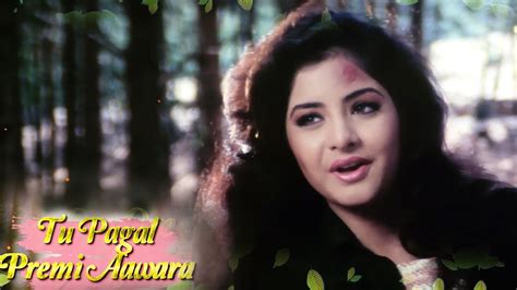 Divya Bharti 4k Lyrical Song दिव्या भारती का गाना Tu Pagal Premi Aawara Govinda Alka