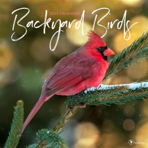 2022 Backyard Birds 12 Month Wall Calendar By Tf Publishing 1 Ct Jay