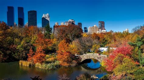 13 Reasons Why You Should Visit New York In The Fall