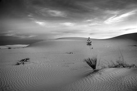 White Sands Dusk Photograph By Peter Tellone Pixels