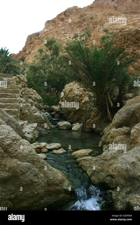 Rock Formation And Waterfall In Oasis At Chebika Located Between