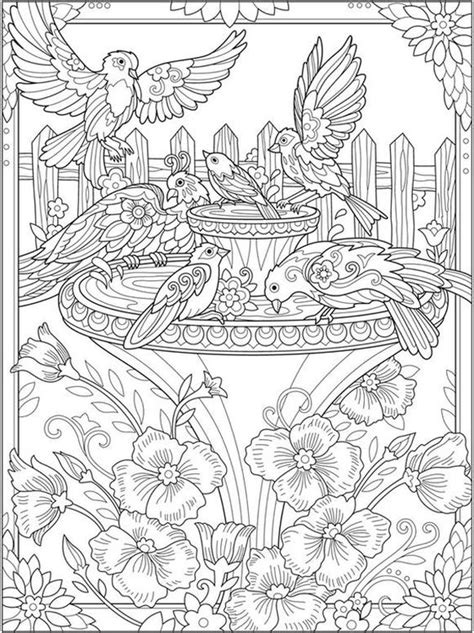 Get This Adult Coloring Pages Animals Bird 3