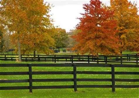 Kentucky Horse Fences By Cooper Slay Horse Fencing Horses Horse Farms