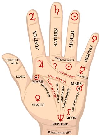 This line tends to run clear across the palm. Services | The Psychic Shop