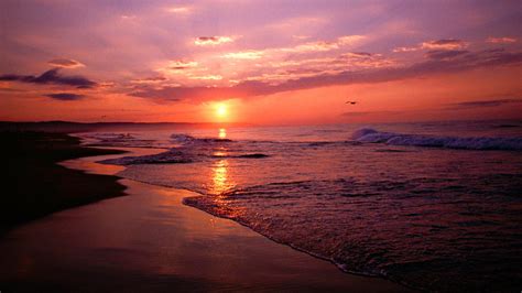 The Beach Sunset Beach