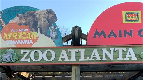Ep 58 Zoo Atlanta Youtube