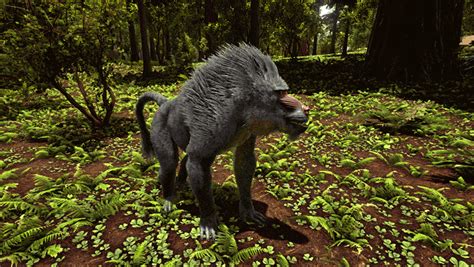 Ark Dinopithecus Controls Taming Abilities Saddle Drops And Breeding