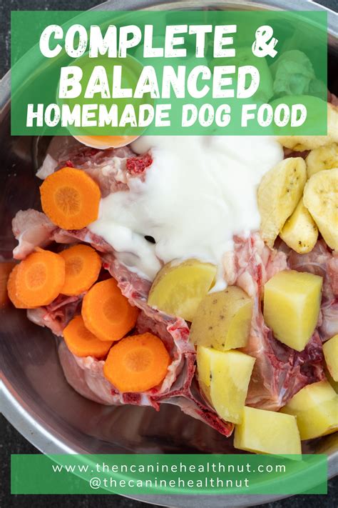Complete And Balanced Homemade Dog Food Healthy Dog Food Recipes Raw