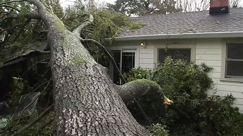 Heavy Rain Strong Winds Topple Trees Cause Accidents Across Bay Area Abc7 San Francisco