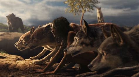 The voyage of the dawn treader. 'Mowgli: Legend of the Jungle' Review: A Boy and His ...