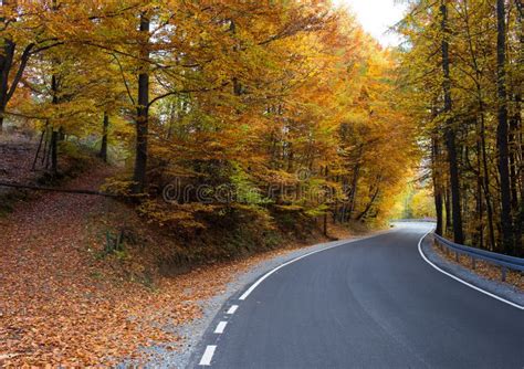 Road In Autumn Scenery Stock Photo Image Of Tree Nature 61465882