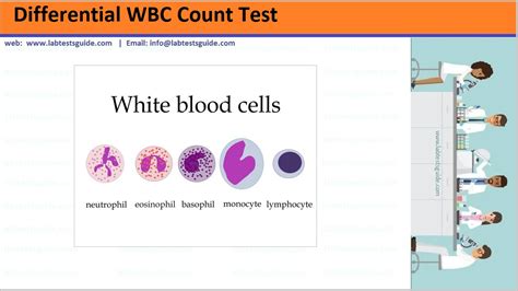 Differential White Blood Cells Count Lab Tests Guide