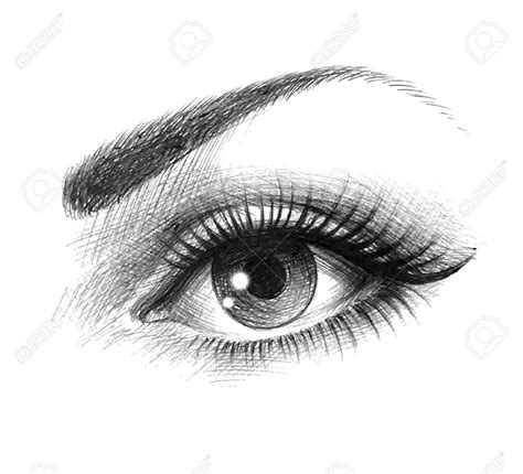 Hermosa Mujer De Ojos Ilustraciones Vectoriales Clip Art Vectorizado Libre De Derechos Image