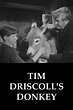 Reparto de Tim Driscolls Donkey (película 1954). Dirigida por Terry ...