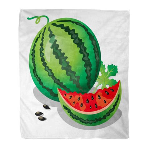 Sidonku Flannel Throw Blanket Melon Green Cartoon Watermelon Whole And