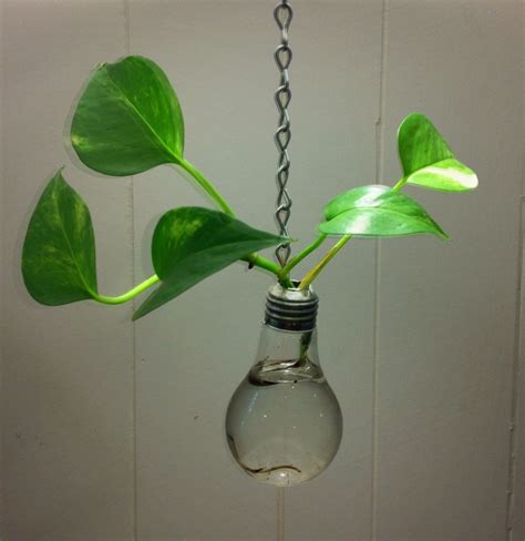 Recycled Light Bulb Hanging Vase Recycled Light Bulbs Hanging Vases