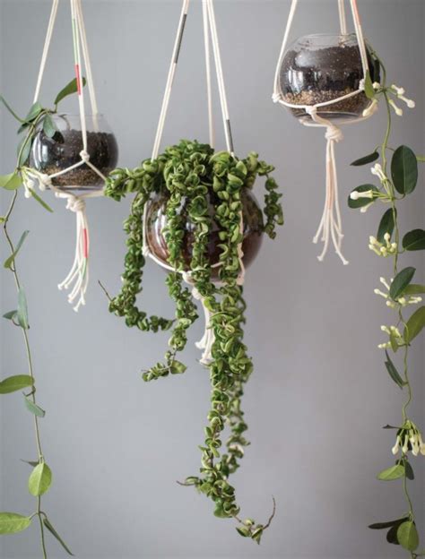 How To Make Modern Macrame Plant Hangers