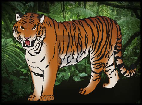 Siberian Tiger Drawing At Paintingvalley Com Explore Collection Of