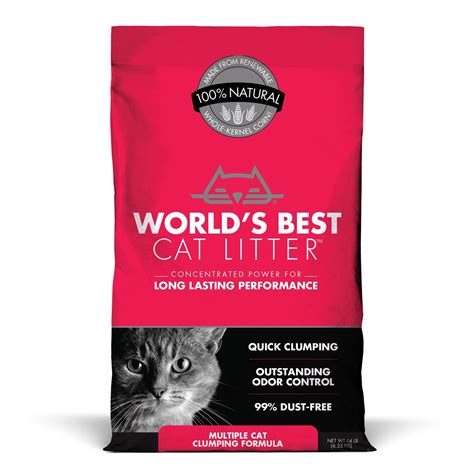 Top 10 Best Dust Free Cat Litter Brand Reviews In 2017