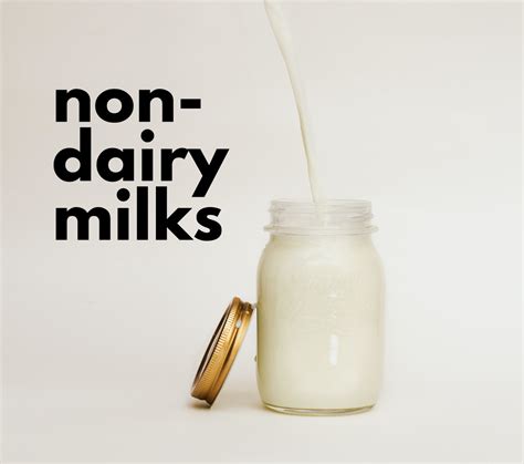 10 Different Types Of Non Dairy Milk With Recipes Delishably