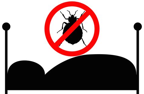 5 Ways To Prevent Bed Bugs When Traveling Northwest Exterminating