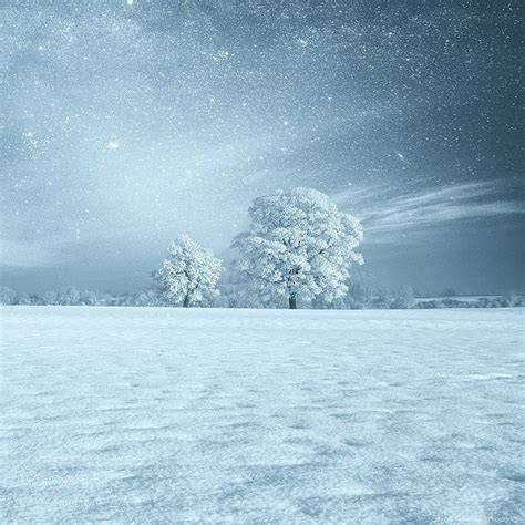 Winter time by mariuskasteckas | Winter landscape, Winter scenes, Winter art