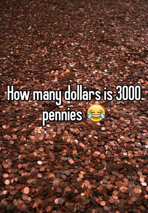 How Many Dollars Is 3000 Pennies 😂