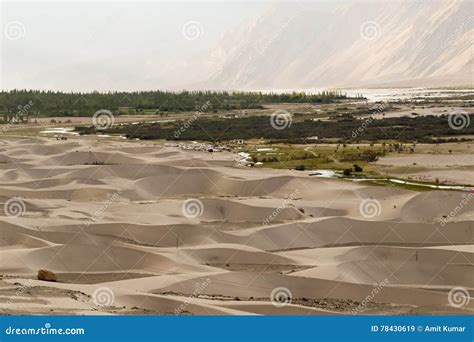 Sand Dunes In Nubra Valley Cold Desert Of Ladakh Stock Image Image