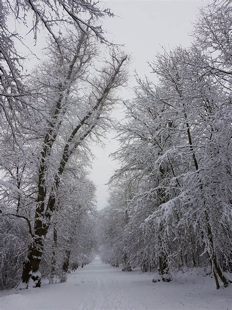 Winter Wonderland Sharp Capture Flickr