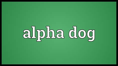 Alpha Dog Meaning Youtube