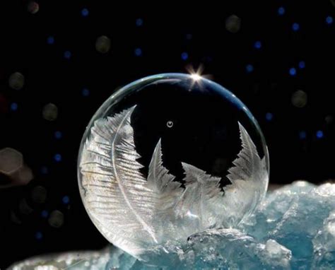 13 Amazing Photographs Of Frozen Bubbles Frozen Bubbles Soap Bubbles