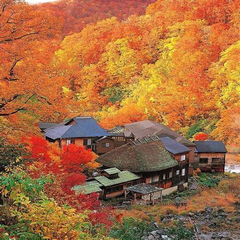 The Vibrant Colors Of Akita Prefecture Tohoku Akita Is Famous For Its