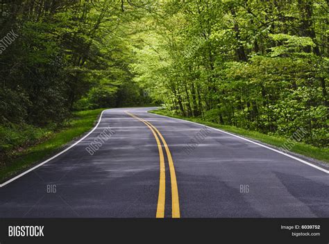 Road Trees On Both Sides Image And Photo Bigstock