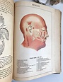 Antique illustrated medical book 1910s anatomy color plates | Etsy