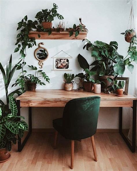 20 Office Plant Decor Ideas For Green Working Environment