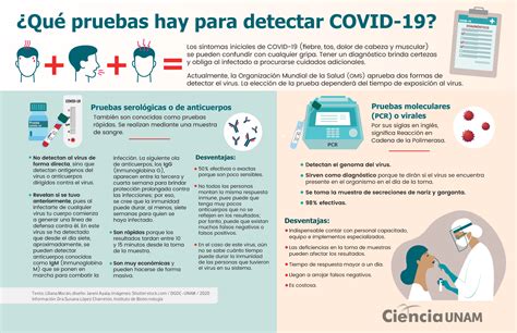 INFOGRAFÍA Pruebas para detectar al Coronavirus SARS CoV 2 Ciencia UNAM