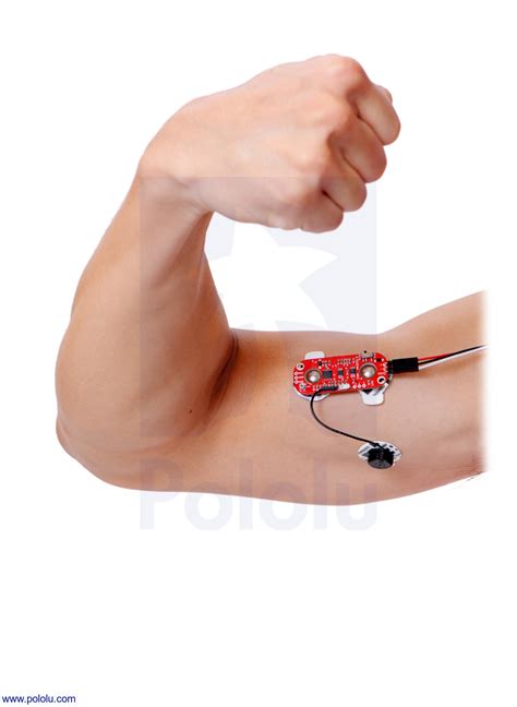 Pololu Myoware Muscle Sensor