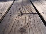 Images of Wood Planks Substance Designer
