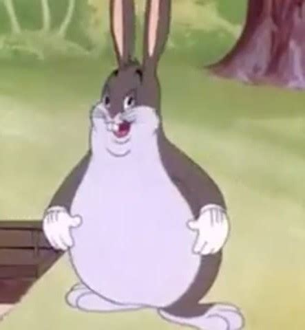Create Meme Fat Bugs Bunny Meme Bugs Bunny Meme Bugs Bunny The Best