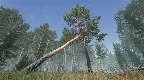 D Model Realistic Pine Trees Pack For Games Vr Ar Low Poly