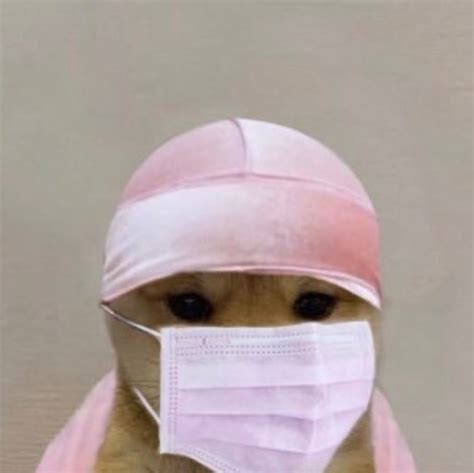 Instagram profile picture viewer profile photo face pictures profile pictures dog and cat images facebook image sizes deathwatch crop photo. Dog With Hat Meme Profile Pic - apsgeyser