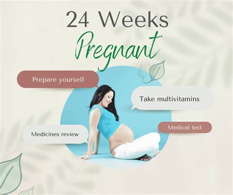 24 Weeks Pregnant Signs Tips Symptoms Babys Development